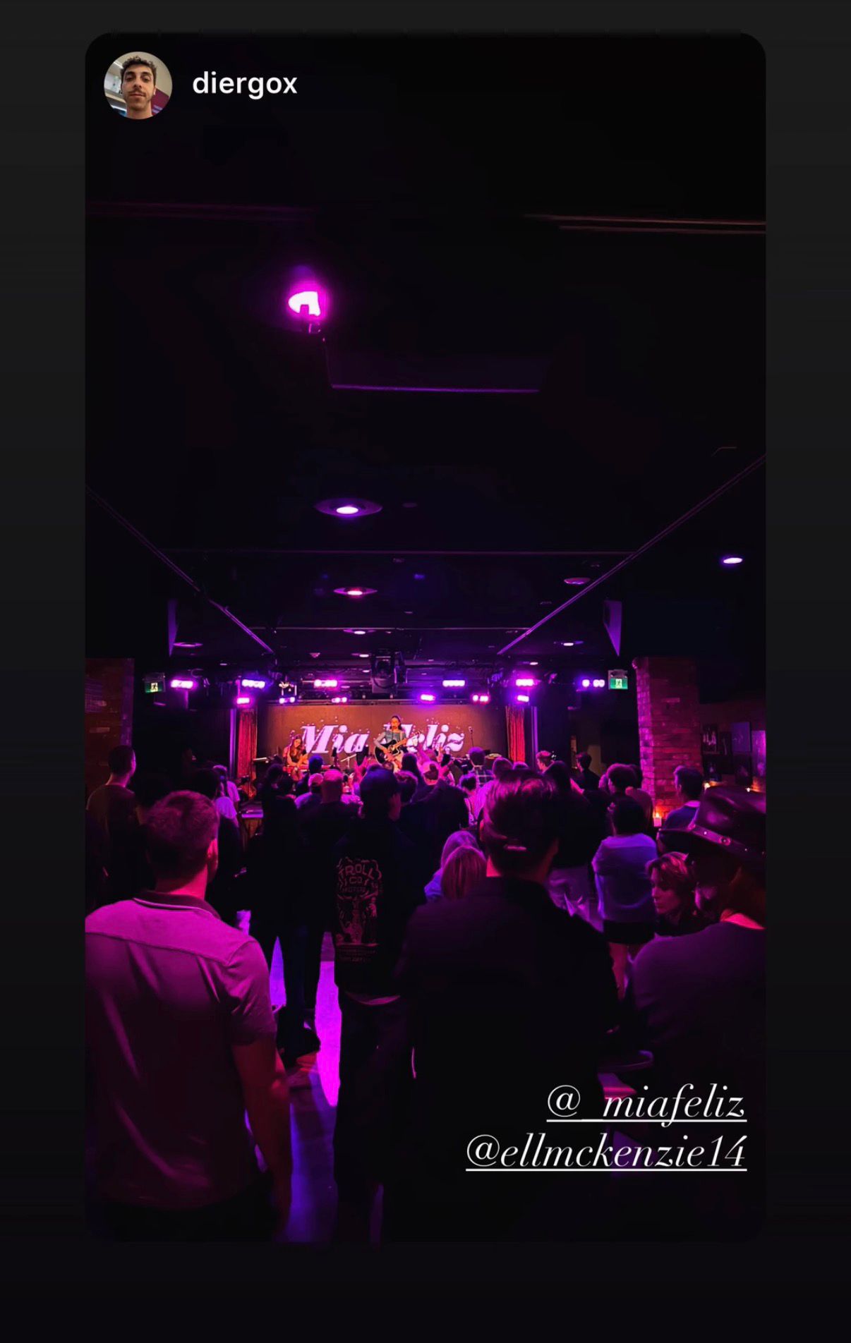 The crowd at a Mia Feliz show, purple lights over everyone
